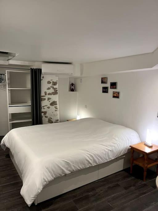 Appartement Climatise Albi - Centre المظهر الخارجي الصورة